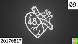 20170817 SNH48 Team SⅡ 第48区 09