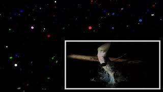 Crocodile Attack In Slow Motion _ BBC Earth