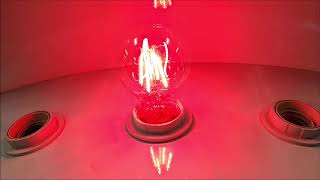 Feit Electric A19/TR/LED In Action!