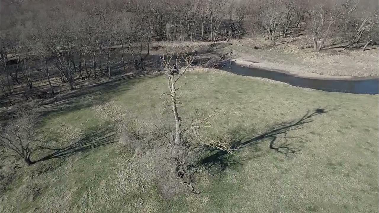 56 Acres M/L of Recreational Land for Sale in Tama County, Iowa (Traer