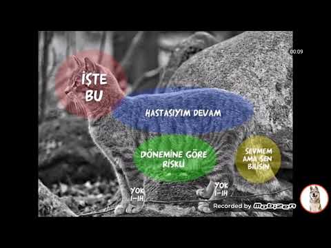 22 Ekim 2018