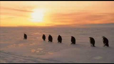 Where Are You (Rudi Berger)