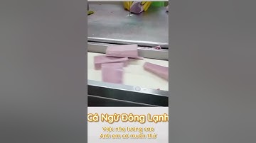 Sản xuất cá ngừ đại dương đông lạnh