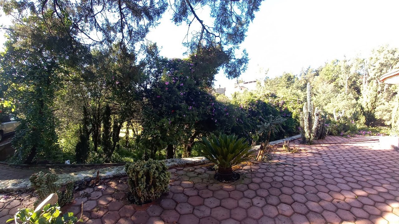 Día De Campo Con Tu Novio Tierno ❤🌻⚘[AÉREA-ASMR]🍒