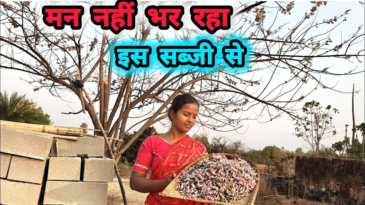  जिरहुल फूल March 2026