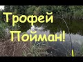 Трофейная Рыбалка На Поплавок!!!