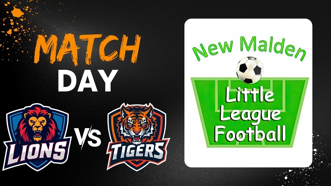 Lions Vs Tigers - Saturday 21/02/2026 11:30am