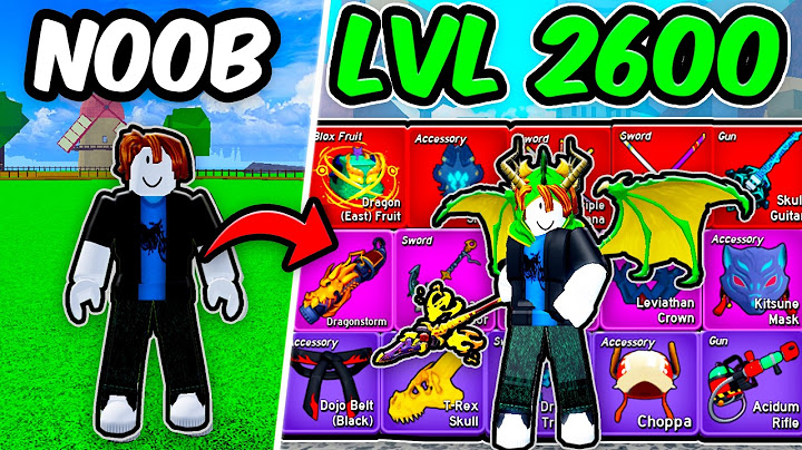 Noob to Max Collecting EVERYTHING | Roblox Blox Fruits