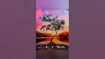 آيات بينات من القرآن الكريم 🌷 بصوت جميل طارق محمد حالات واتس اب دينية قصيرة تلاوة خاشعة Quran status