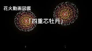 花火 4k60p]2024桜川市東部地区活性化花火大会【抜粋】/Sakuragawa