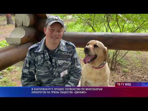 Чемпионат по многоборью