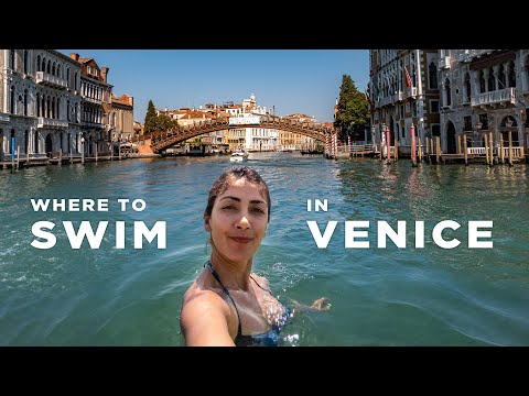 Video: Stranden van Venetië