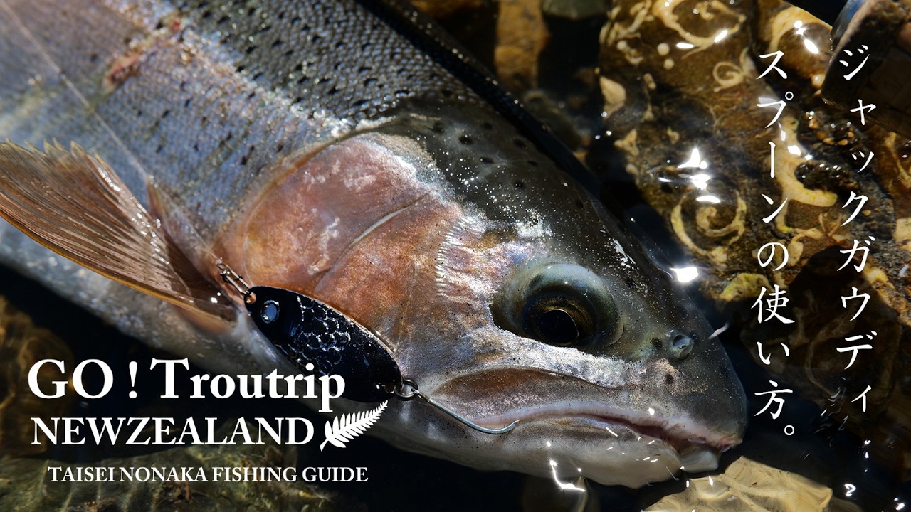 【NEWZEALAND】ジャックガウディスプーンの使い方