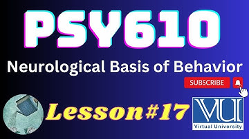 PSY610 || Neurological Basis of Behavior || Lesson#17 || Highlighted Questions & MCQs  for exam