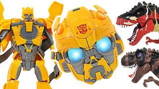 Transform into a Transformers Bumblebee mask! Defeat the dinosaurs! | DuDuPopTOY