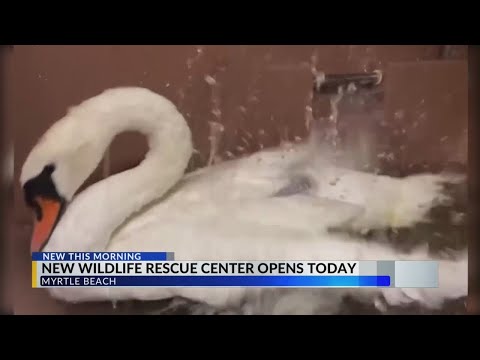 Wildlife rescue center