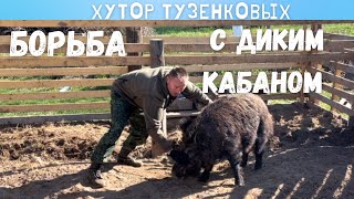 ПОБОРОЛСЯ С ДИКИМ КАБАНОМ. Приводим в порядок ежевику. Жизнь на заброшенном хуторе.