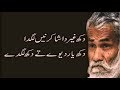 2 Lines sad Poetry of Shakir Shuja Abadi - Two Lines new Shayari - 2 Lines Poetry Part 1