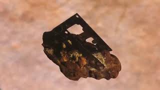 EVOLUTIONISTS, YOU’VE BEEN CAUGHT LYING ABOUT FOSSILS