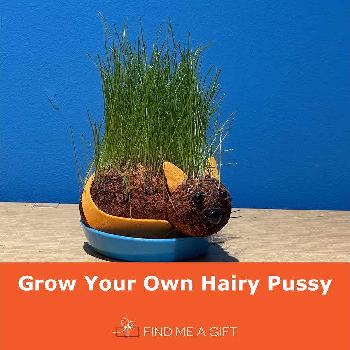 Grow Your Own Hairy Pussycat