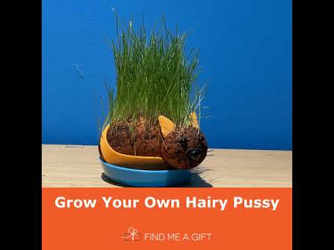 Grow Your Own Hairy Pussycat