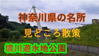 【境川遊水地公園】を小田急線「湘南台駅」から今田の桜並木、境川遊水地公園、亀井神社とまわり小田急線「六会日大前駅」に到着する歩行距離6.202㎞の散歩コースを紹介します。