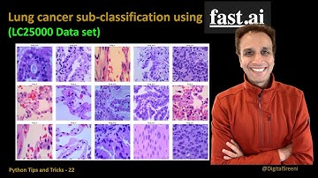 Lung cancer subclassification using fastai​ (Tips Tricks 22)