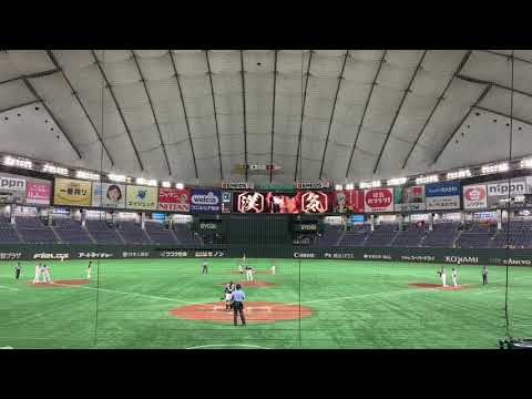 巨人　亀井義行　登場曲　ハジ　春色　2020 8 20 東京ドーム　阪神戦