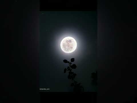 super Moon #supermoon