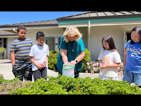 Apostles Lutheran School 3rd Graders Setting Free Butterflies in May 2025