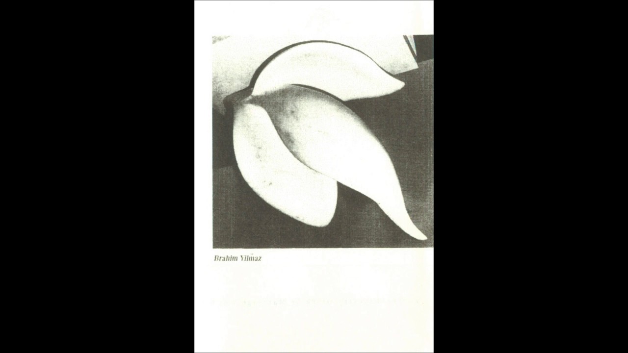 Brahim Yilmaz - The Horses