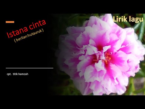 istana cinta ( berlian hutauruk ) cpt. titiek hamzah; evergreen album