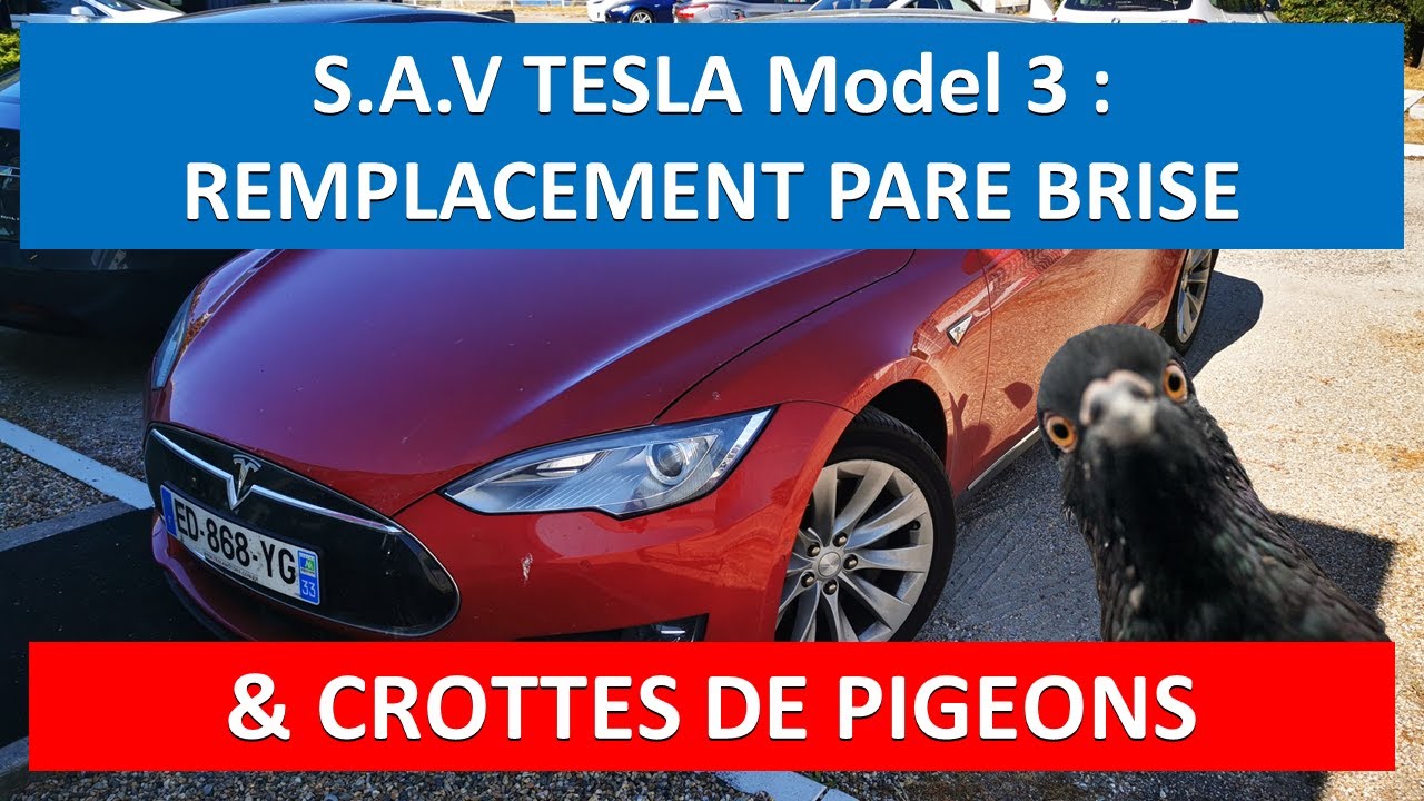 🐦Retour d'expérience du S.A.V. Tesla sur le remplacement du pare brise sur  une Model 3 🐦 