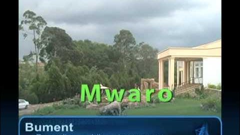 Bument-video-intro.wmv