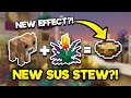 New Update: Archaeology &amp; New Stew Recipe CHANGES