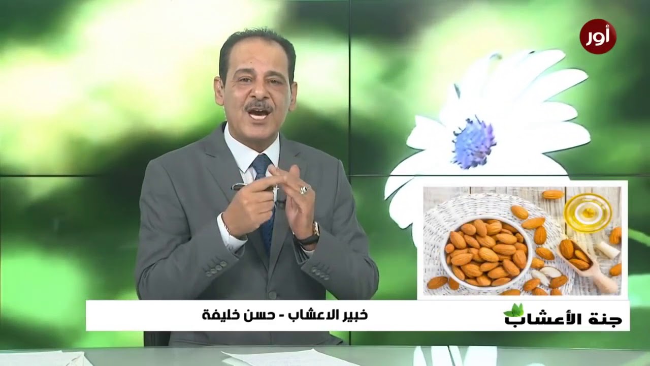 فوائد زيت اللوز الحلو للبشرة والجسم وخاصة للنظارة البشرة مع خبير الاعشاب حسن خليفة - جنة الاعشاب