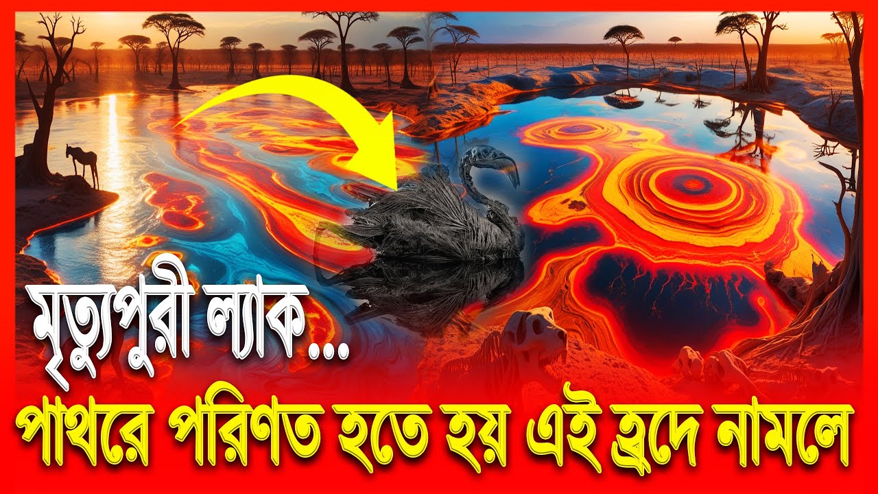 কেন হ্রদ প্রাণিদের পাথরে পরিণত করে | The Strange Lake | Tanzania