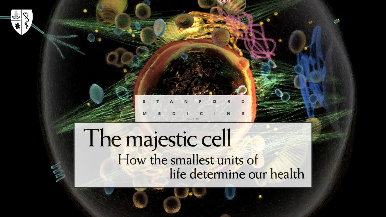 Inside "The Majestic Cell" | Stanford Medicine Magazine