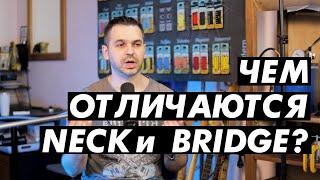 :   Neck  Bridge ?