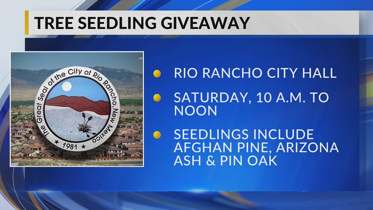 City of Rio Rancho holding tree seedling giveaway on April 15 YouTube