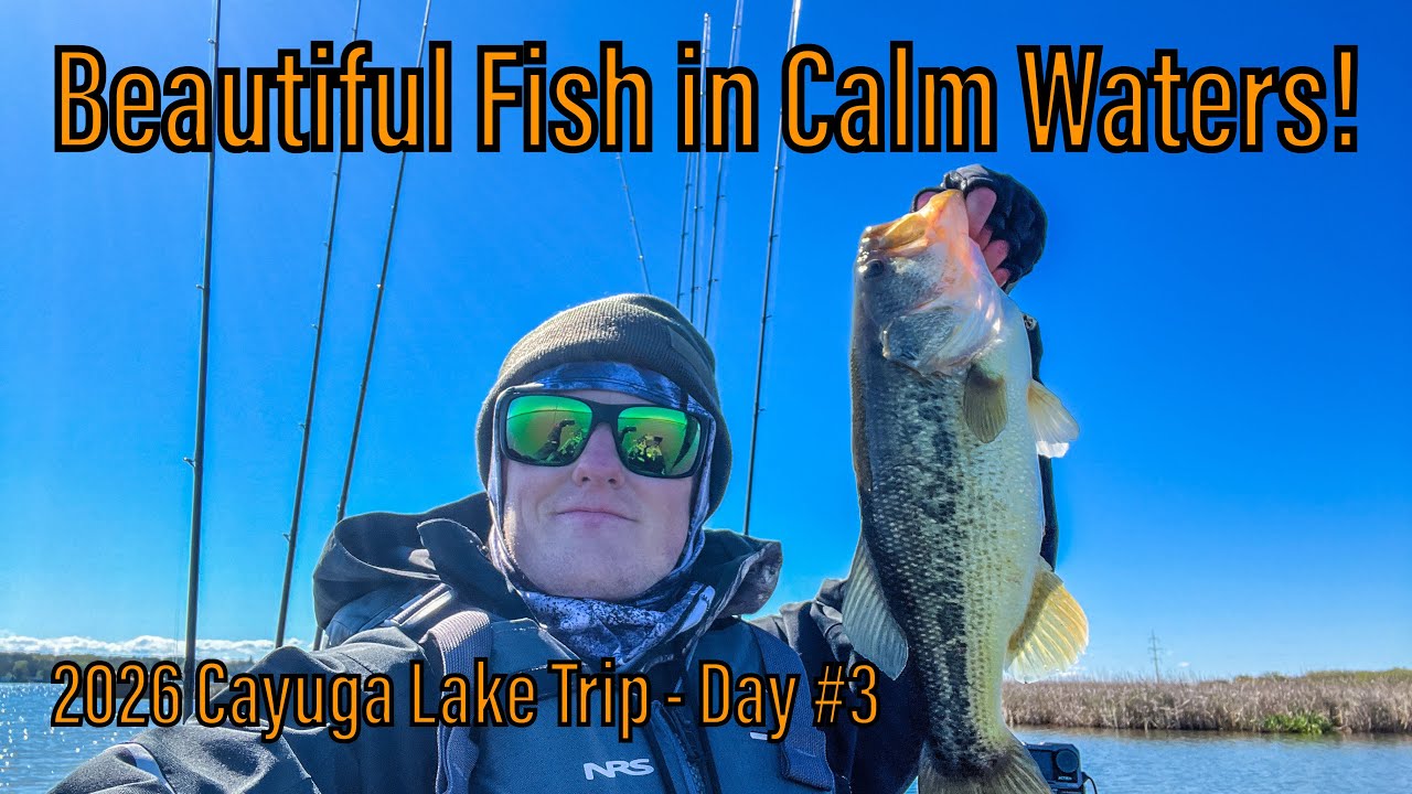 Fishing Calm Waters for Drop Shot Bass! – 2026 Lake Cayuga Trip Day #3