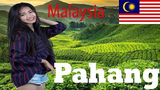 Top 10 Places to visit Pahang, Malaysia 🇲🇾 by Travel by Soprita- ​សូព្រីតា​ ទេសចរណ៍ 275 views 3 months ago 1 minute, 43 seconds
