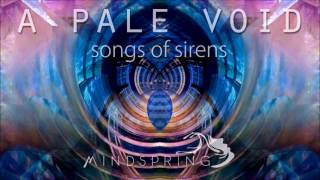 A Pale Void - Pgm Zero