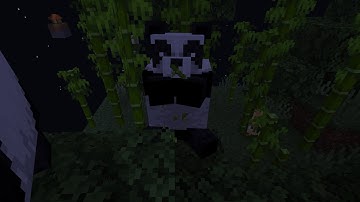 I FOUND Pandas in SKYBLOCK !!!!!!!