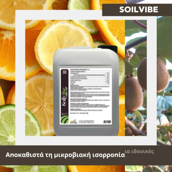 Download lagu Soil Vibe – Η ζωή στο έδαφος ξεκινά από μέσα!