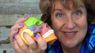Cranial Movement Series by Michelle Turner, Movement Lesson™