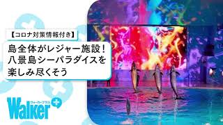 コロナ対策情報付き 横浜 八景島シーパラダイスを楽しみ尽くそう 水族館の見どころから混雑情報まで徹底紹介 ウォーカープラス