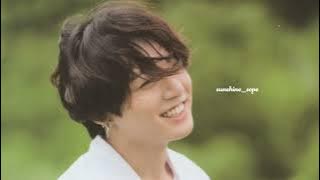 JUNGKOOK-Euphoria | sped up