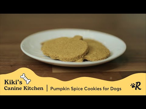 Pumpkin Spice Jack O'Lantern Cookies for Dogs | Kiki's Canine Kitchen | Rover.com
