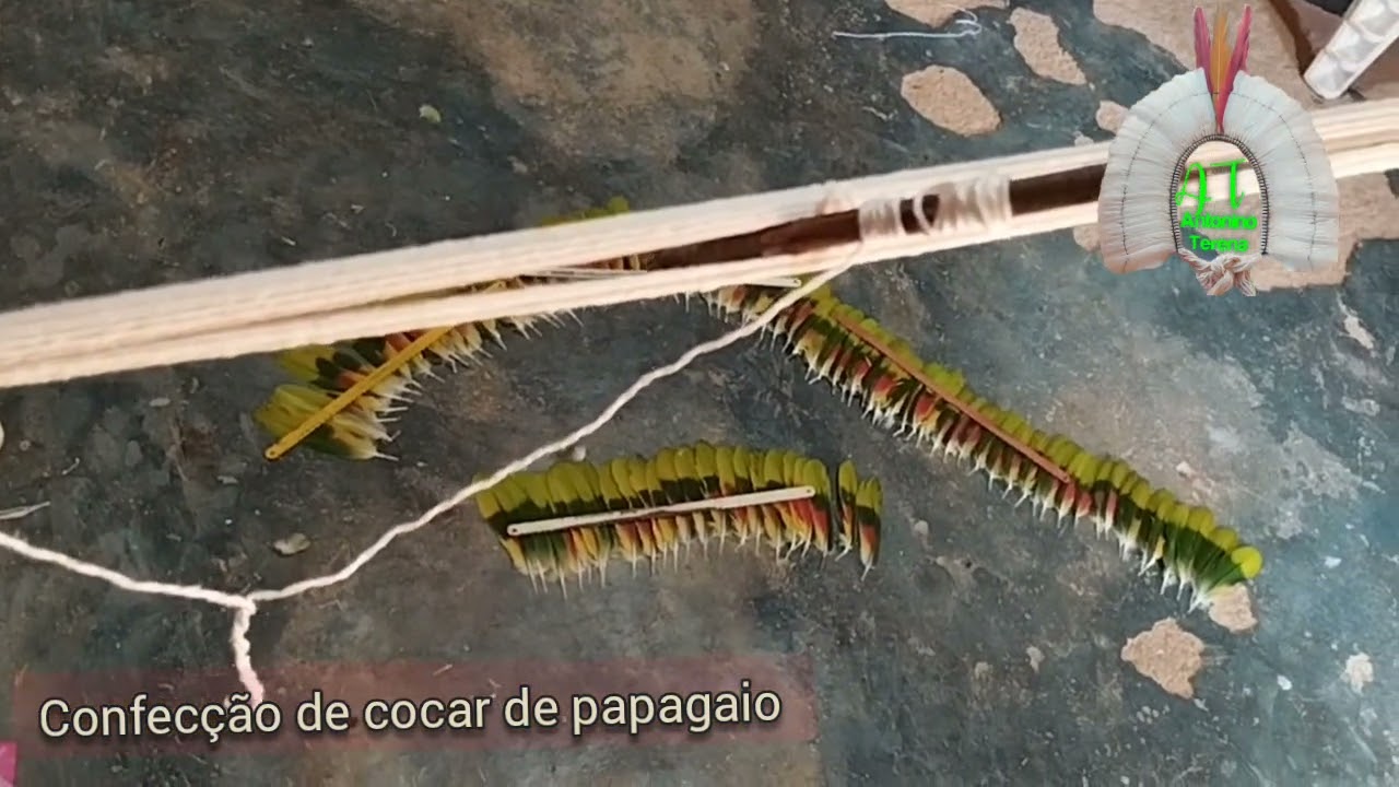 confecção de cocar de papagaio.